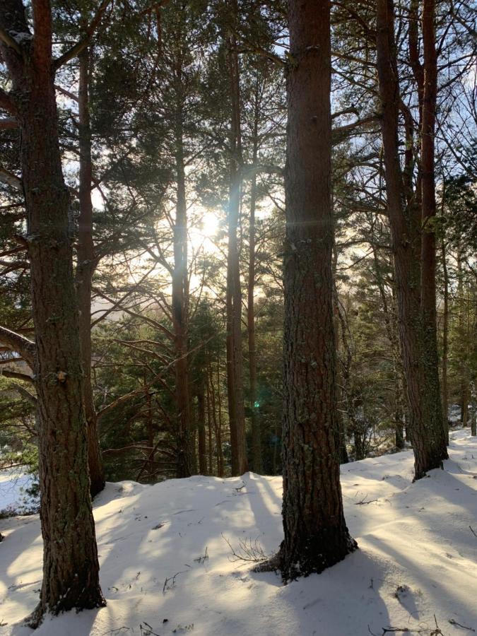 The One - Chalet In The Cairngorms بوت أوف جاردن المظهر الخارجي الصورة